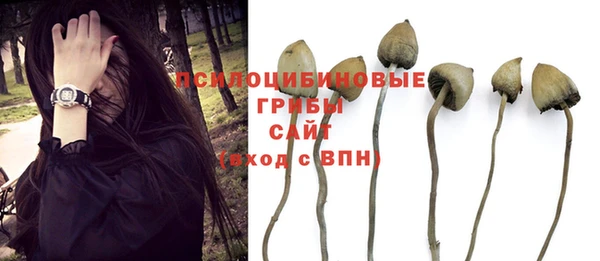 ALPHA-PVP Богородицк