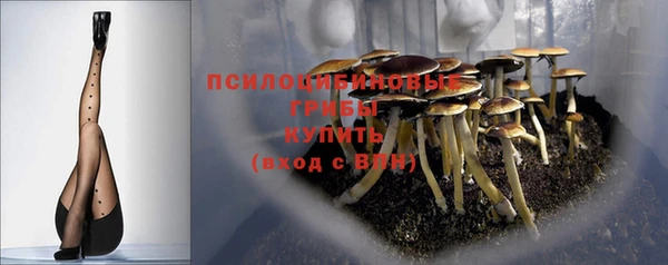 ALPHA PVP Богданович