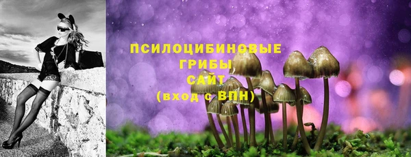 мяу мяу мука Снежногорск
