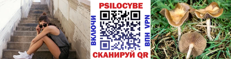 Галлюциногенные грибы MAGIC MUSHROOMS  Ессентукская 